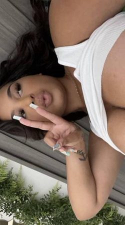 Paloma Flor la compañía perfecta para tus deseos